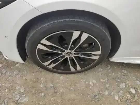 Mercedes-Benz C-Class New Energy 2024 (17100 км)