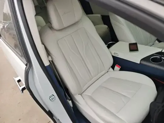 Buick GL8 New Energy 2024 (21900 км)