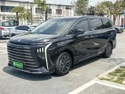 FORTHING Xinghai V9 2024 (39700 км)