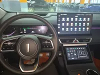 Wey Mocha New Energy 2024 (6300 км)