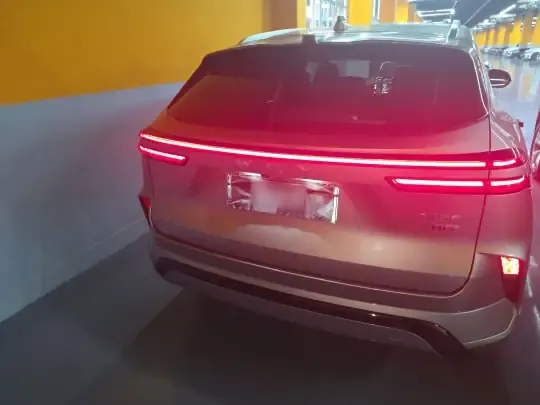 Wey Mocha New Energy 2024 (6300 км)