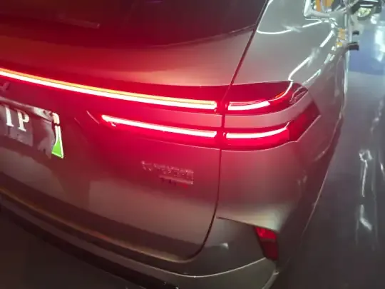 Wey Mocha New Energy 2024 (6300 км)