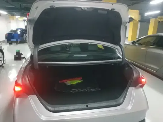 Toyota Avalon 2024 (100 км)