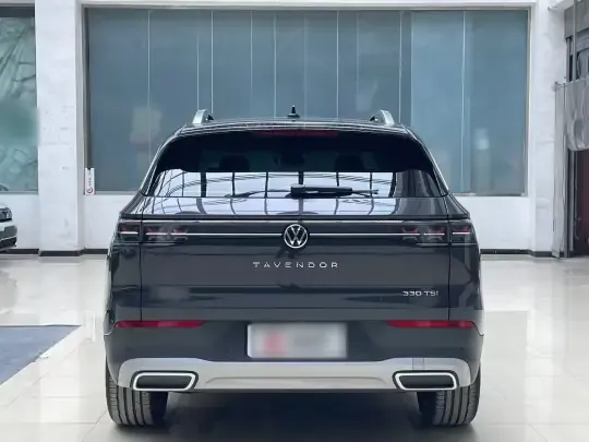 Volkswagen Tavendor 2024 (8600 км)