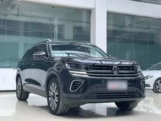Volkswagen Tavendor 2024 (8600 км)