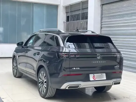 Volkswagen Tavendor 2024 (8600 км)