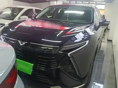 Cowin Kunlun 2024 (14100 км)