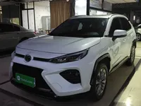 Toyota Wildlander 2024 (12300 км)
