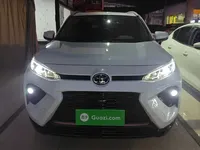 Toyota Wildlander 2024 (12300 км)
