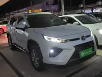 Toyota Wildlander 2024 (12300 км)