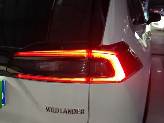 Toyota Wildlander 2024 (12300 км)
