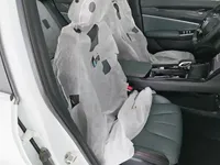 Geely Auto Emgrand X7 Sport 2024 (100 км)