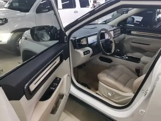 Geely Auto icon 2025 (7100 км)