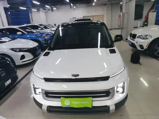 Geely Auto icon 2025 (7100 км)