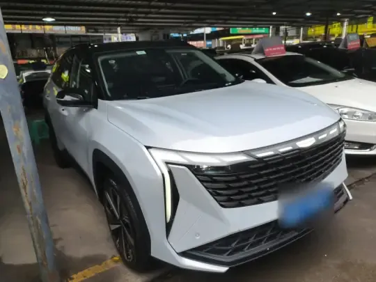 Geely Auto FX11 2024 (8400 км)
