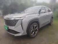Geely Auto FX11 2024 (10800 км)