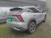 Geely Auto FX11 2024 (10800 км)