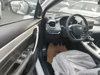 Geely Auto Coolray 2025 (100 км)