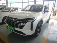 Haval H6 2024 (39600 км)