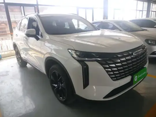 Haval H6 2024 (39600 км)
