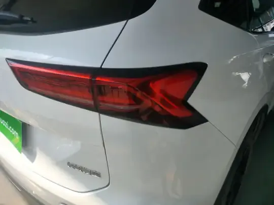 Haval H6 2024 (39600 км)