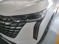 Haval H6 2024 (39600 км)