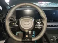 GAC Trumpchi EMPOW 2024 (25600 км)
