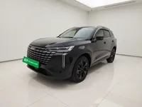 Haval H6 2024 (15000 км)