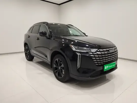 Haval H6 2024 (15000 км)