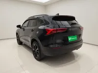 Haval H6 2024 (15000 км)