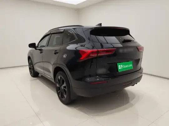 Haval H6 2024 (15000 км)