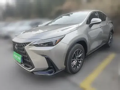 Lexus NX 2024 (6200 км)