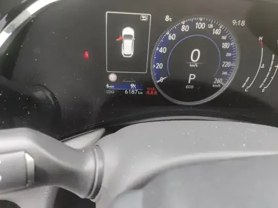 Lexus NX 2024 (6200 км)