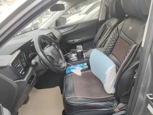 Lexus NX 2024 (6200 км)