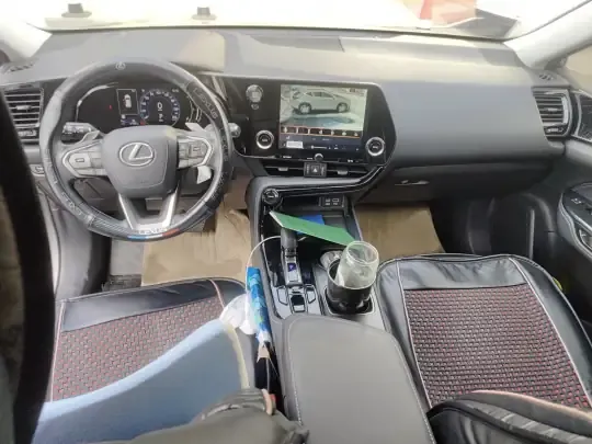 Lexus NX 2024 (6200 км)
