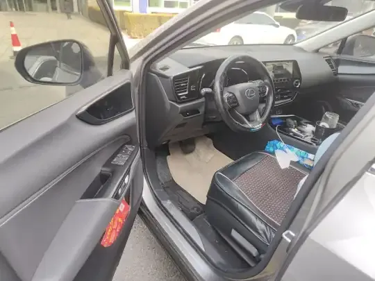 Lexus NX 2024 (6200 км)