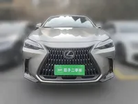 Lexus NX 2024 (6200 км)