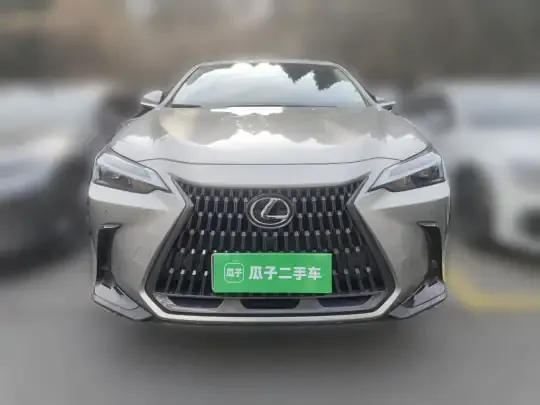 Lexus NX 2024 (6200 км)