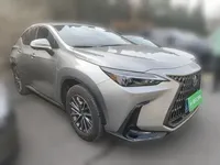 Lexus NX 2024 (6200 км)