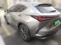Lexus NX 2024 (6200 км)