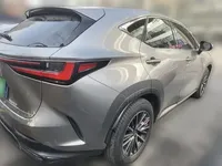 Lexus NX 2024 (6200 км)