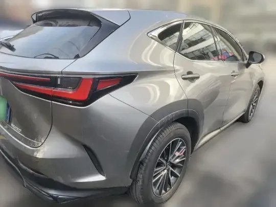 Lexus NX 2024 (6200 км)