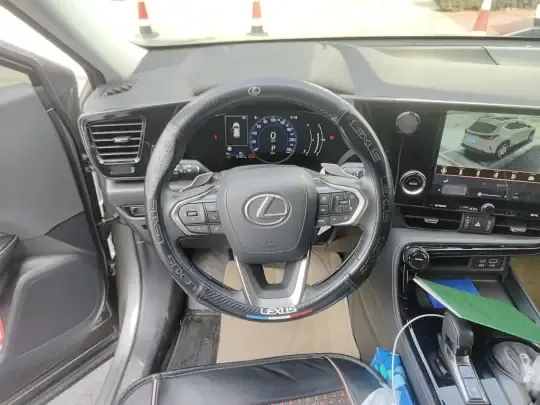 Lexus NX 2024 (6200 км)