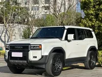 Toyota Prado 2024 (24100 км)