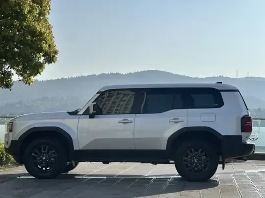 Toyota Prado 2024 (24100 км)