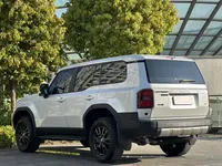 Toyota Prado 2024 (24100 км)