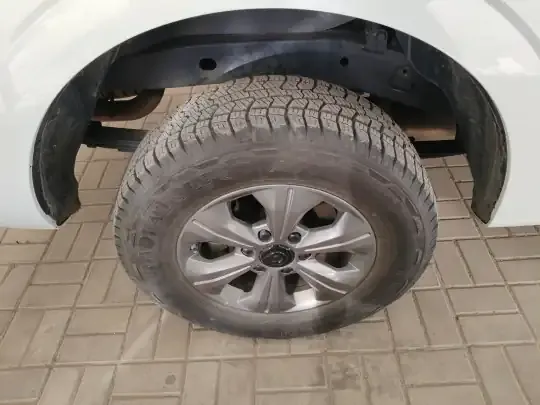 Great Wall Poer 2023 (9000 км)