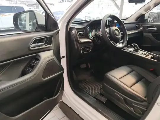 Great Wall Poer 2023 (9000 км)