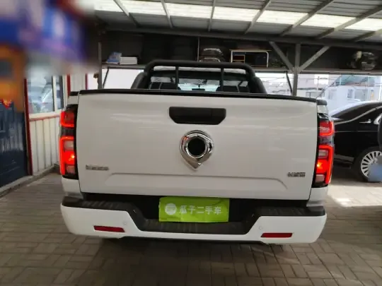 Great Wall Poer 2023 (9000 км)
