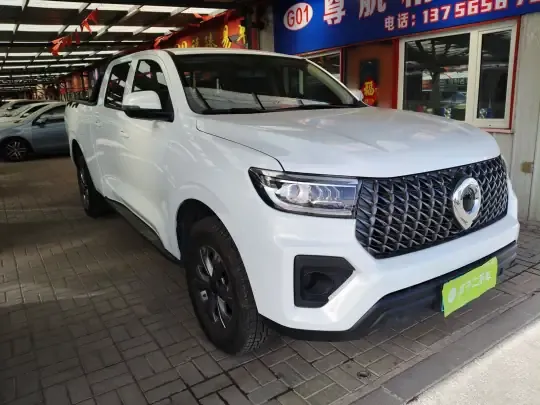Great Wall Poer 2023 (9000 км)